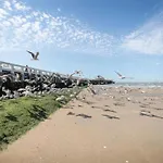 Flat In Belgium Near Sea Dyke & Town Center *