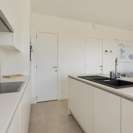 Daire Flat In Belgium Near Sea Dyke & Town Center