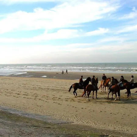 Flat In Belgium Near Sea Dyke & Town Center *