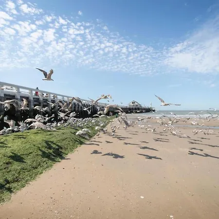 Flat In Belgium Near Sea Dyke & Town Center *