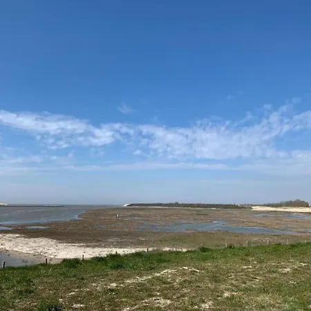 아파트 Flat In Belgium Near Sea Dyke & Town Center 블랑켄베르크