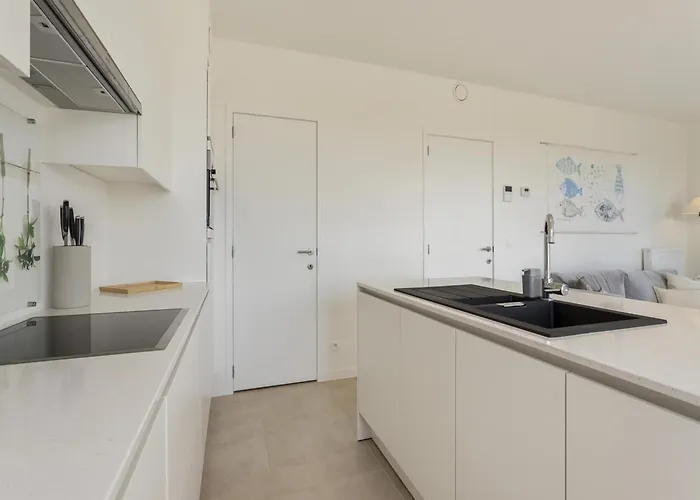 Διαμέρισμα Flat In Belgium Near Sea Dyke & Town Center