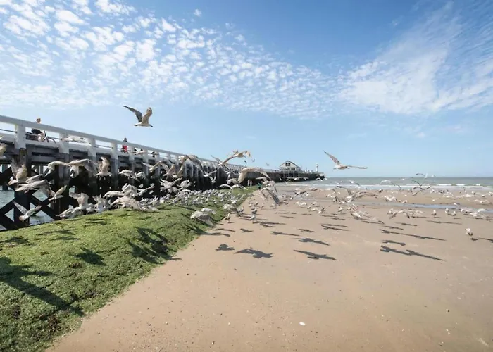 Flat In Belgium Near Sea Dyke & Town Center *