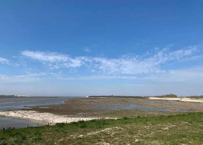 아파트 Flat In Belgium Near Sea Dyke & Town Center 블랑켄베르크