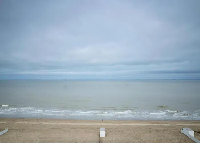 Flat In Belgium Near Sea Dyke & Town Center *